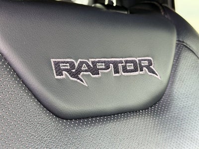 2017 Ford F-150 Raptor